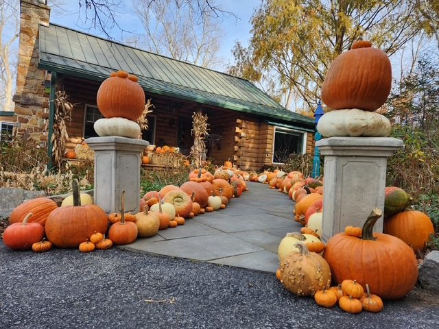 A welcoming porch styled with pumpkins, gourds, and hay bales by La Belle Vine