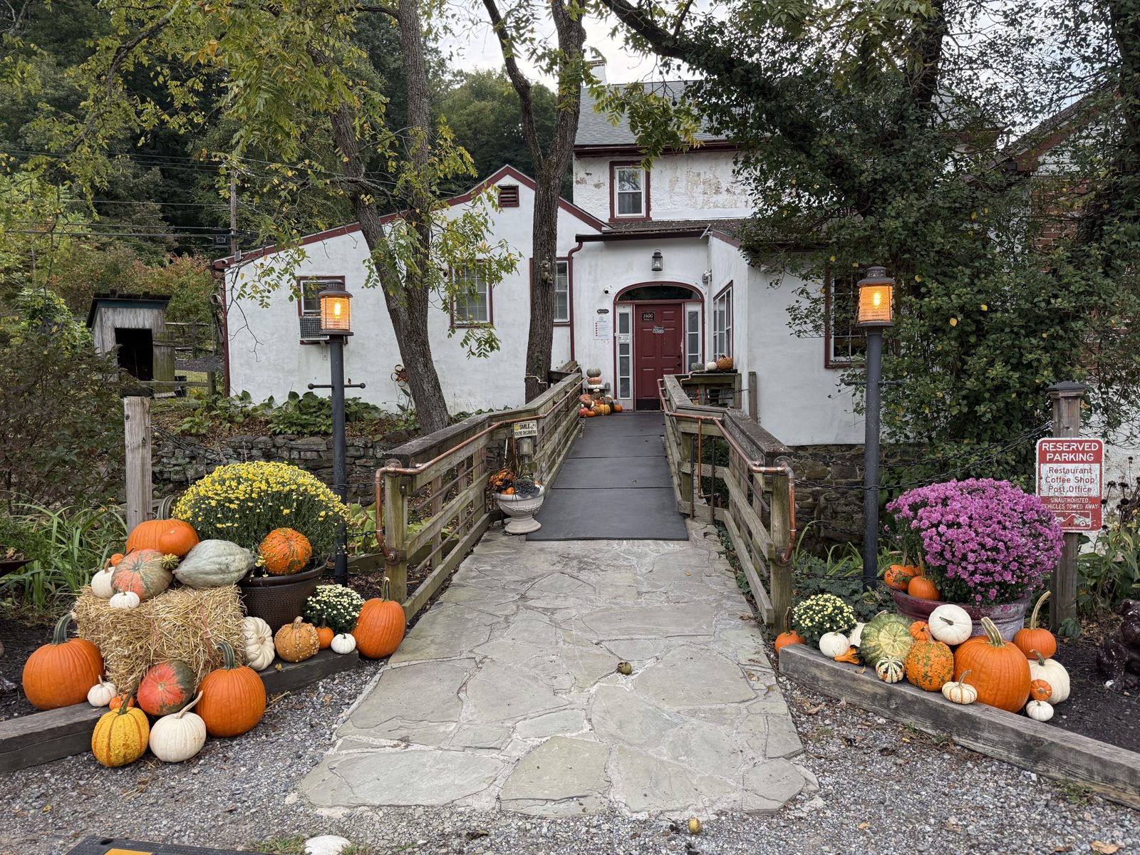 Pumpkin display example 1