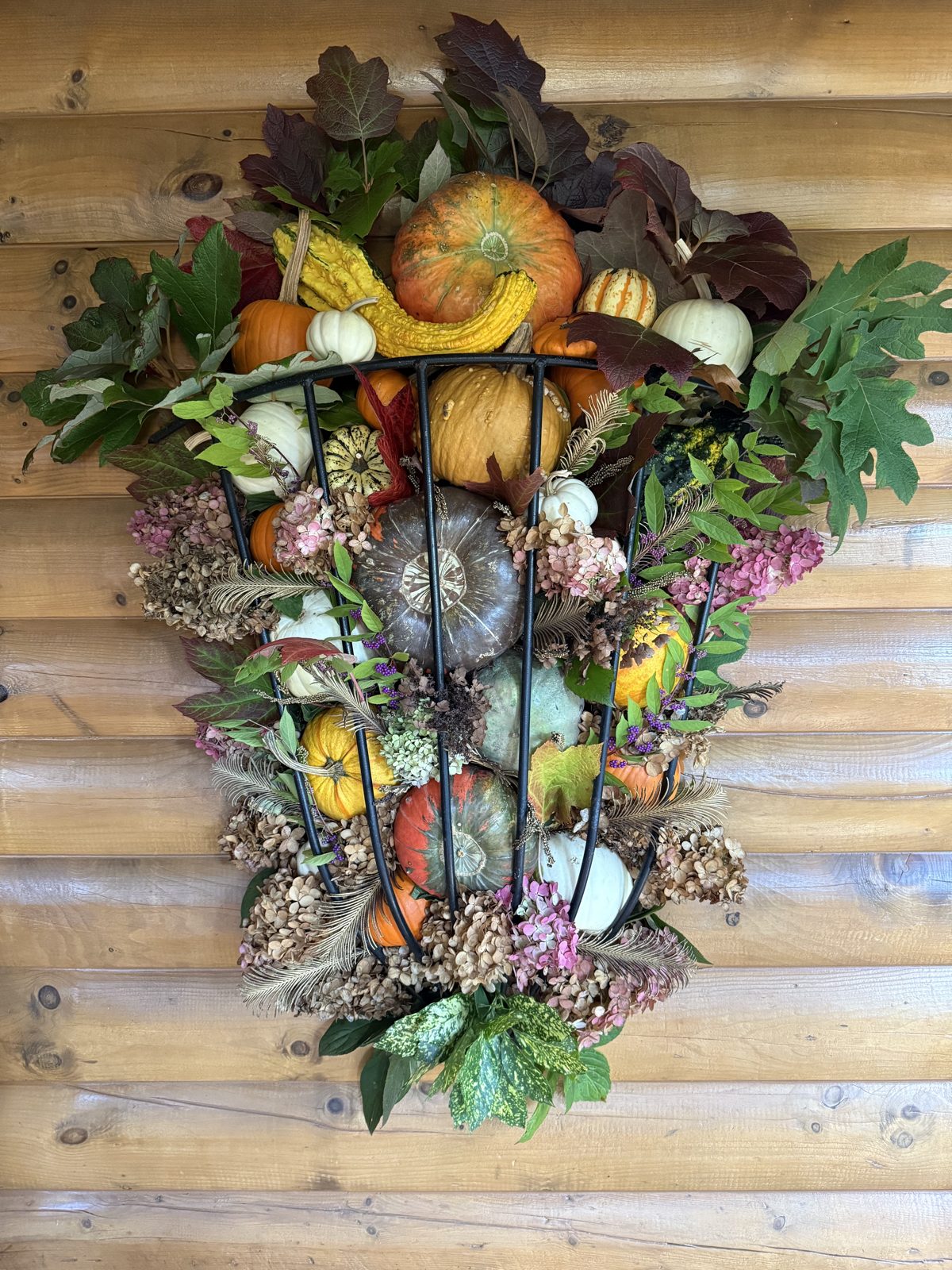 Pumpkin display example 2