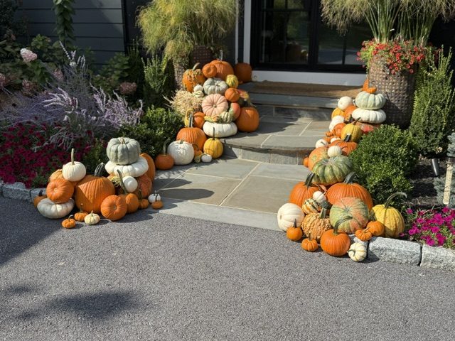 Pumpkin display example 3
