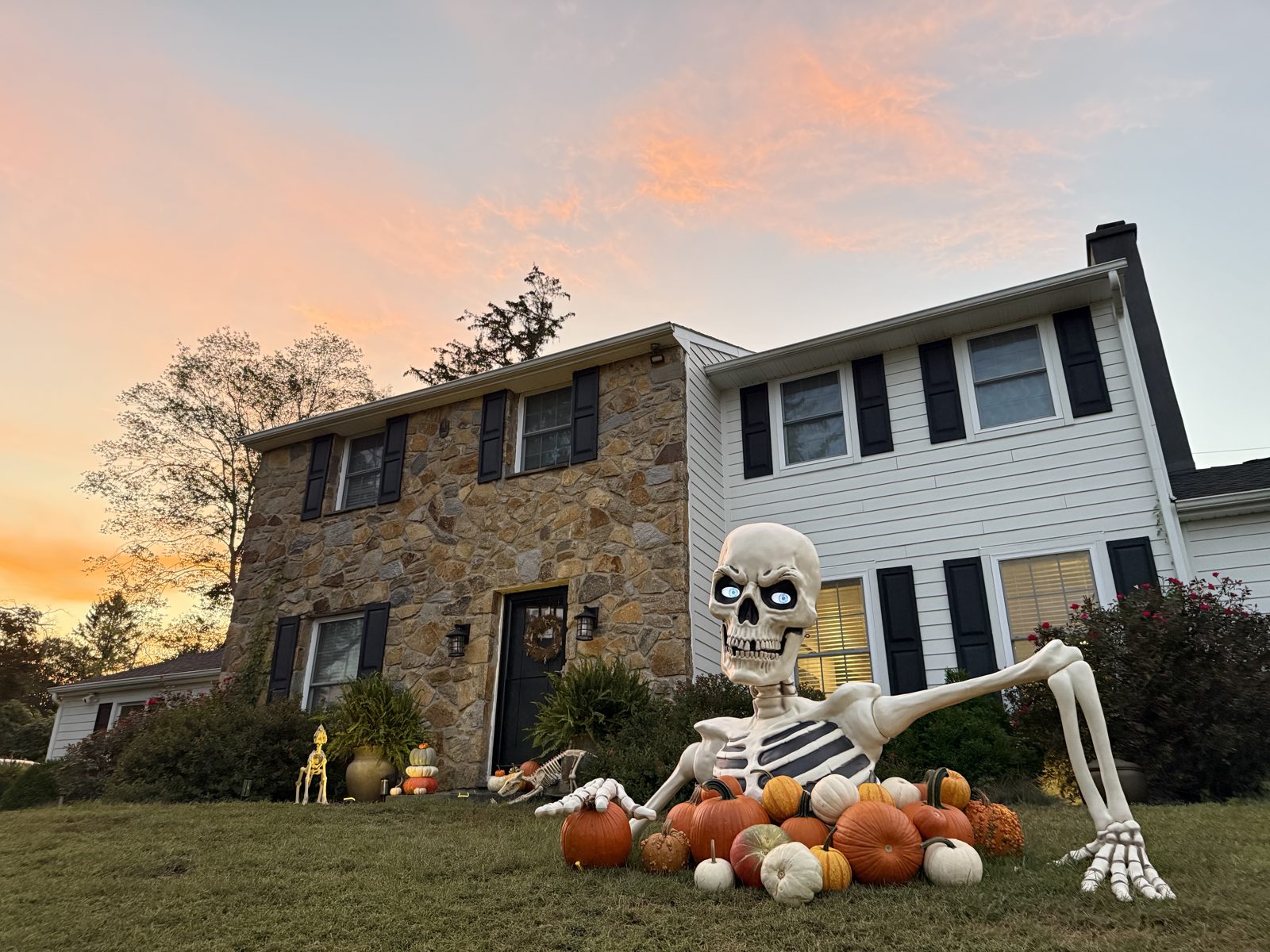 Pumpkin display example 6